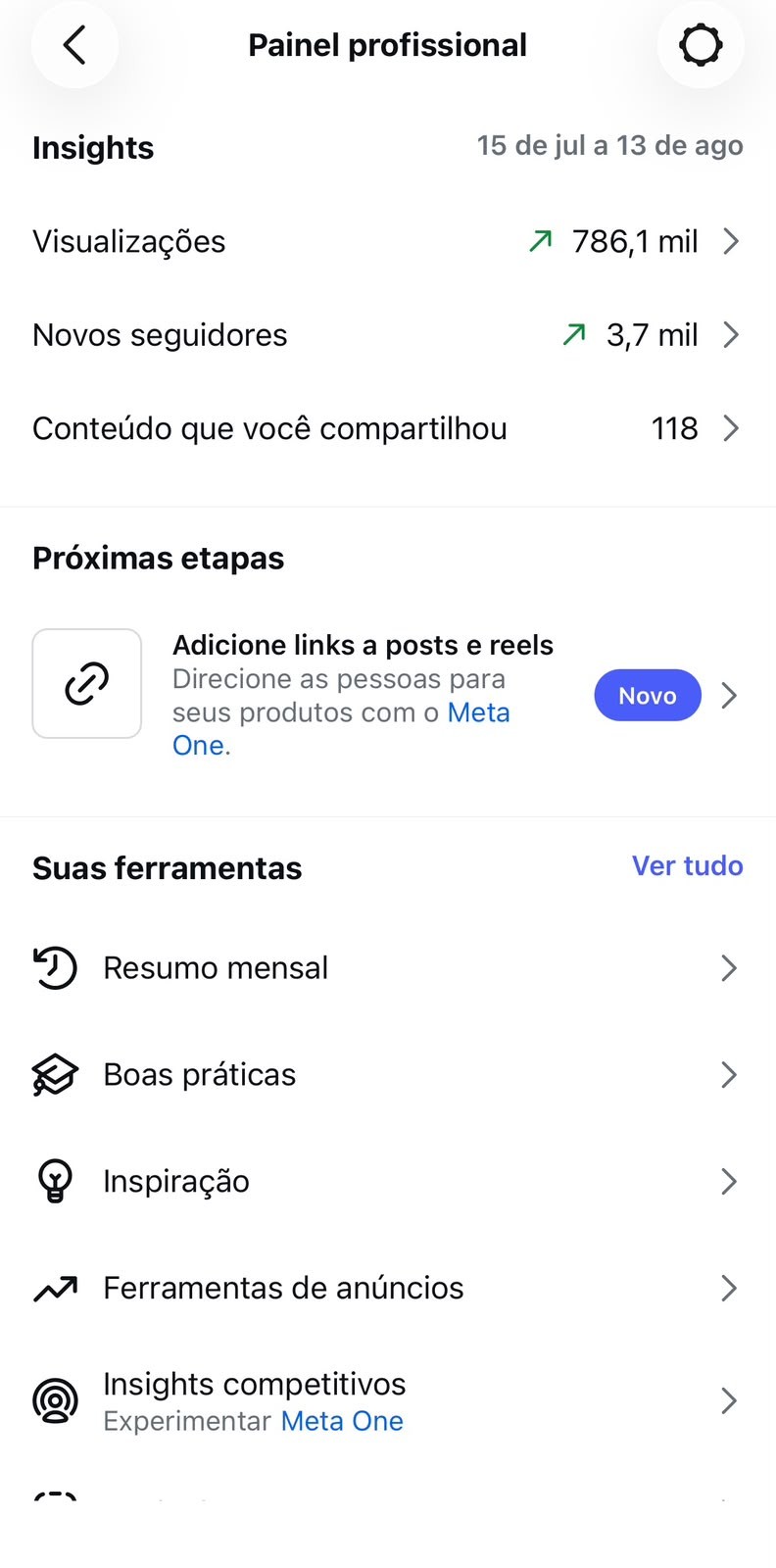 Painel profissional do Instagram
